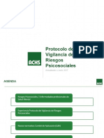 PPT Presentación Protocolo Psicosocial 2017.pptx