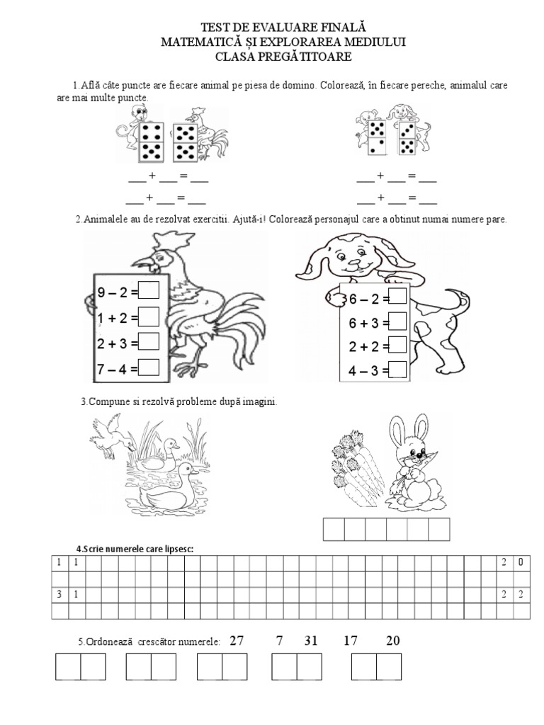 Test de Evaluare Finala Mem Cls Preg | PDF