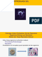 Kuliah-5-Dasar Selular Reproduksi-Pewarisan Sifat