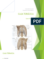 Caja Toracica