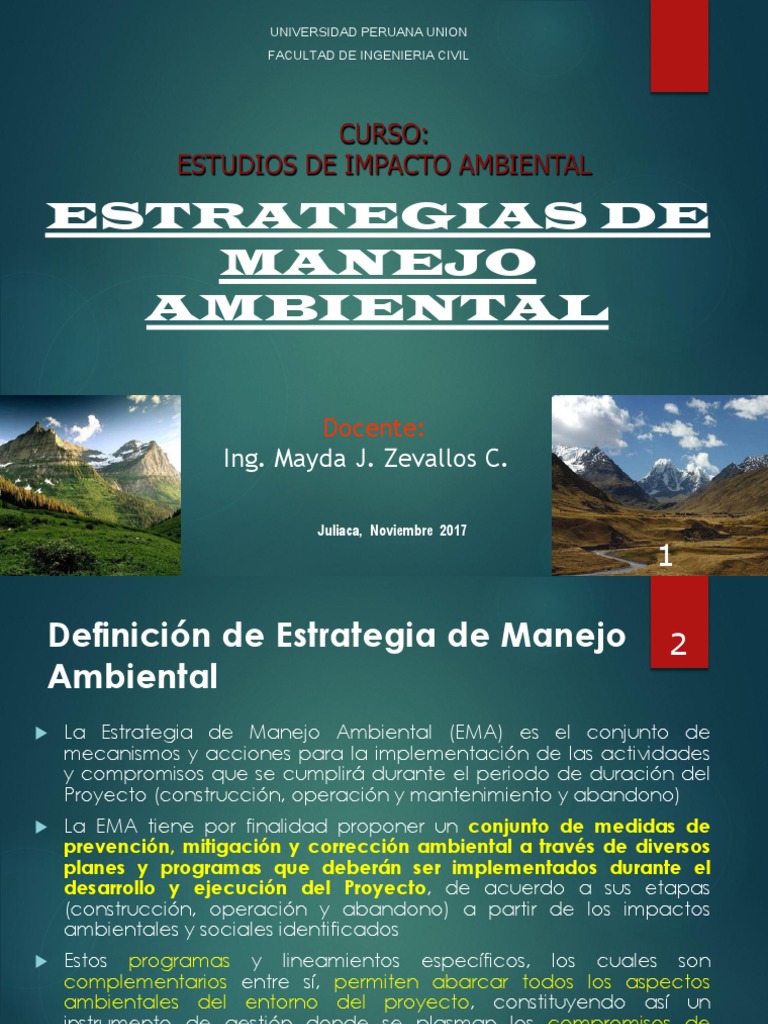 Estrategias de Manejo Ambiental en Proyectos | PDF | Gestión de ...