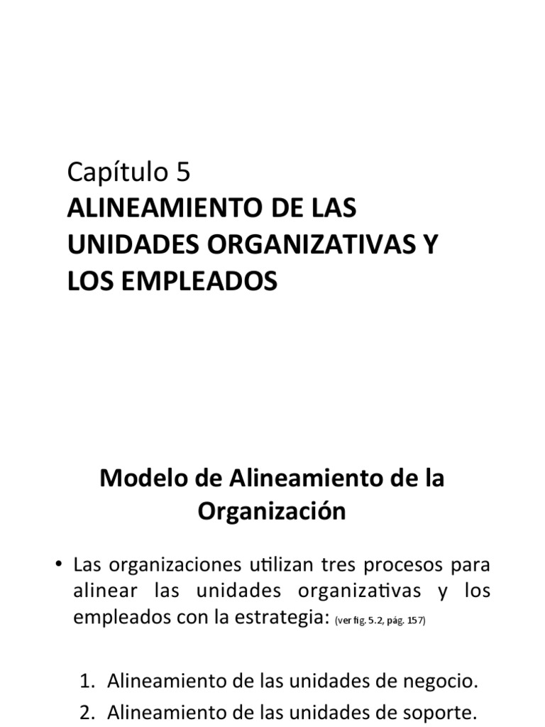 Cap 5 The Execution Premium PDF
