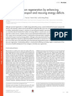 Facilitation of Axon Regeneration by Enhancing Mitochondrial Transport and Rescuing Energy Deficits - Zhou