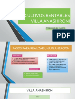 Cultivos Rentables Villa Anashironi