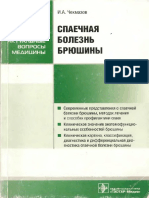 Chekmazov_2008.pdf