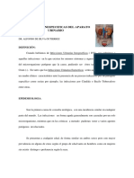 Infecciones urinarias inespecíficas: causas, síntomas y tratamiento