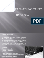 85697081-Tridilosa