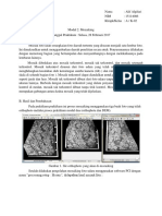 Alif Algifari_15114086_ A_Modul 3 (1)