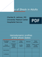 Evaluation of Hemodynamic Profiles in Shock States