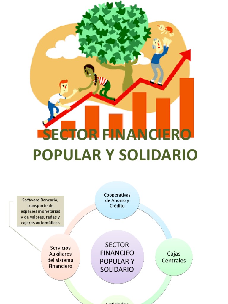 Sector Financiero Popular y Solidario | PDF | Cooperativa | Ahorro