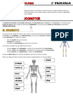 Unidad 1 El Cuerpo Humano