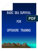 Basic Sea Survival Theory