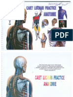 Caiet Lucrari Practice Anatomie PDF