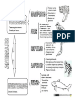 Animales Vertebrados Clasificación PDF