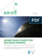 Biomethane Guide For Decision Makers