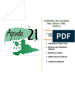 AGENDA 21 - cap 21.docx