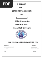 Report on Cash Management