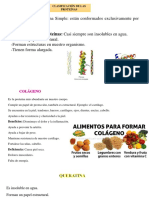 CLASIFICACION DE LAS PROTEINAS.pptx