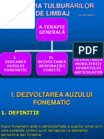 exercitii_pentru_dezv.auzului_fonematic_aurelia_nica.ppt