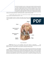 Biomecanica