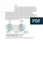 MEKANISME KERJA FENITOIN.docx