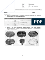 GUÃA NÂ°1 CICLOS BIOGEOQUÃMICOS Y BIOACUMULACIÃ“N IIÂ° 2017.pdf