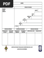 Formato de Historia Natural, Vacia