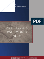 Patrimonio Neto.pdf