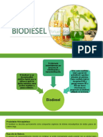 Biodiesel Parte 2