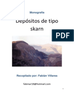 Depositos Skarn PDF