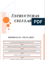 Estructuras Celulares