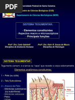 Anatomia Sistema Tegumentar 2017.2.pdf