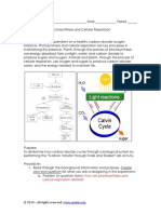photosynthesis cellular respiration lab key2.docx