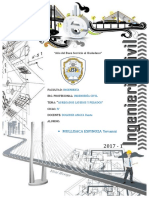 Informe Topografico II