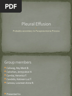 Pleural Effusion: Probably Secondary To Parapneumonia Process