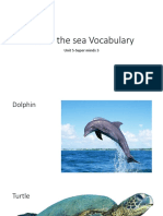 Under The Sea Vocabulary: Unit 5-Super Minds 3