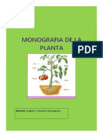 Monografia de La Planta