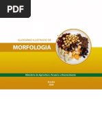 Glossario Ilustrado de Morfologia