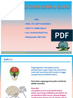 Organogenesis Sistem Saraf