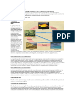 Cuestionario 4 - Rocas Ígneas.pdf