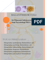 10-Balantidium Coli Farmasi