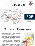 Ix 2013 X - Xi - Xii PDF