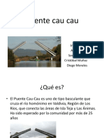 Puente Cau Cau 