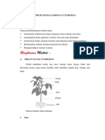 5.struktur Dan Jaringan Tumbuhan