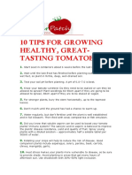 Tomato Tips