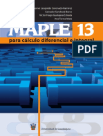 Maple 13 PDF