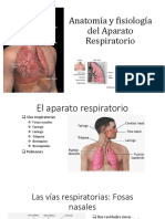 Anatomía y Fisiología Del Aparato Respiratorio Exposicion