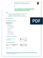 Informe N 9 Fen2