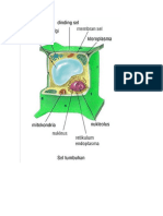 REPRODUKSI SEL.docx