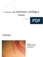 Conectivo, cartílago y hueso.pdf